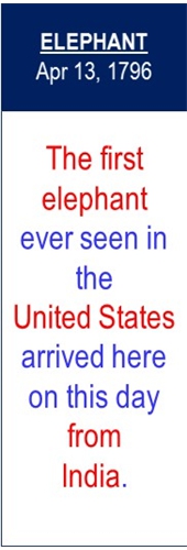 Elephant_in_USA_from_India_Apr-13