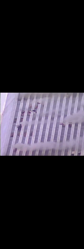 People Falling from the World Trade Center